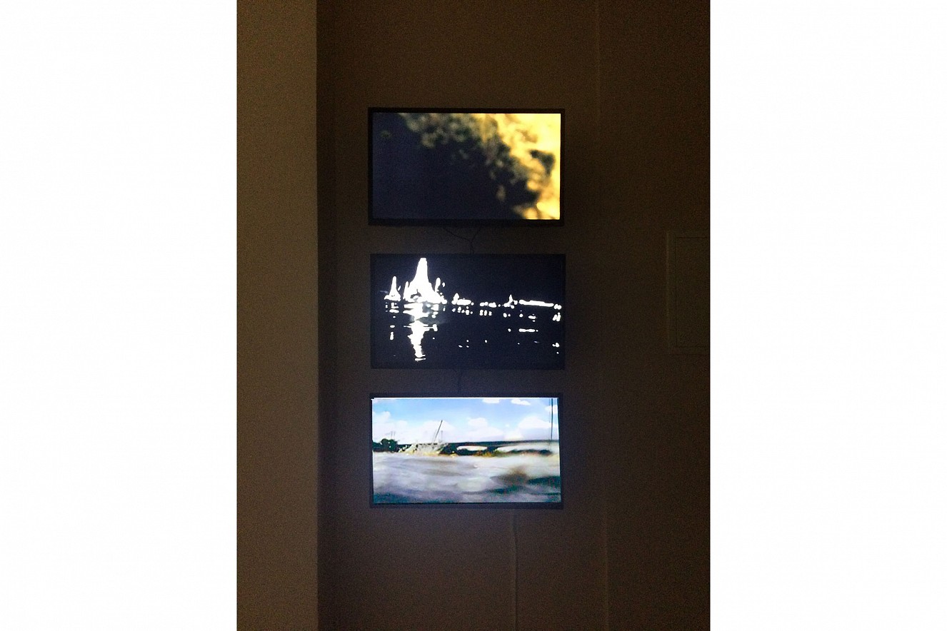 Riverine Zone 
Videoinstallation von Philipp Geist 
Neue Galerie Berlin, 2016