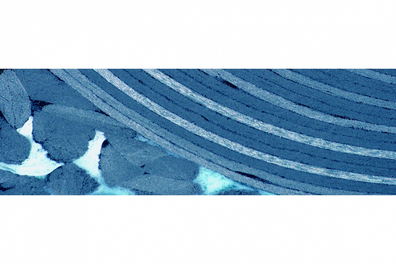 Curved I - Hidden 
Motive Schliffe, Photo on metal, 
76x235 cm, CFK Valley, Stade