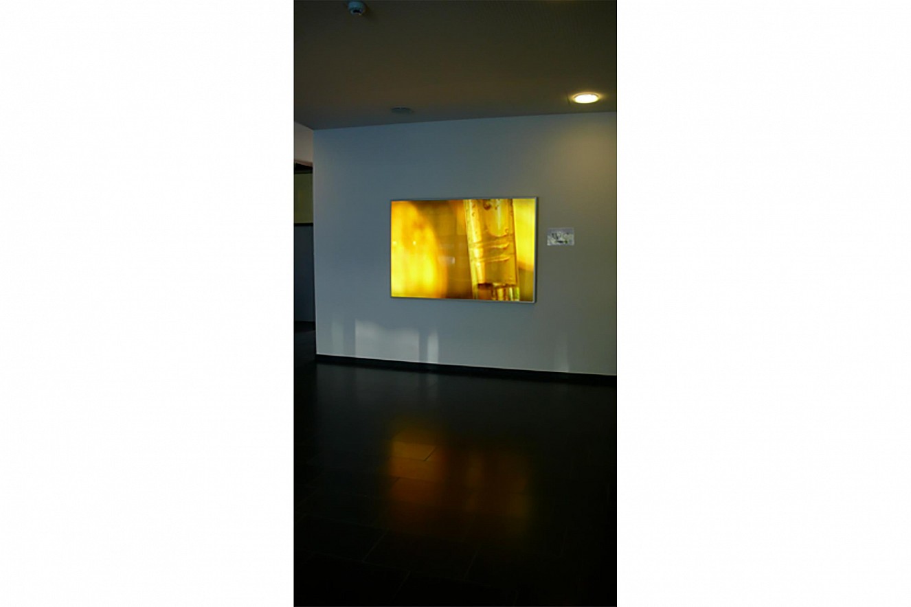 Circular 
Endura translucent in Lightbox 
150x 200 cm, Carl Oelemann Institut