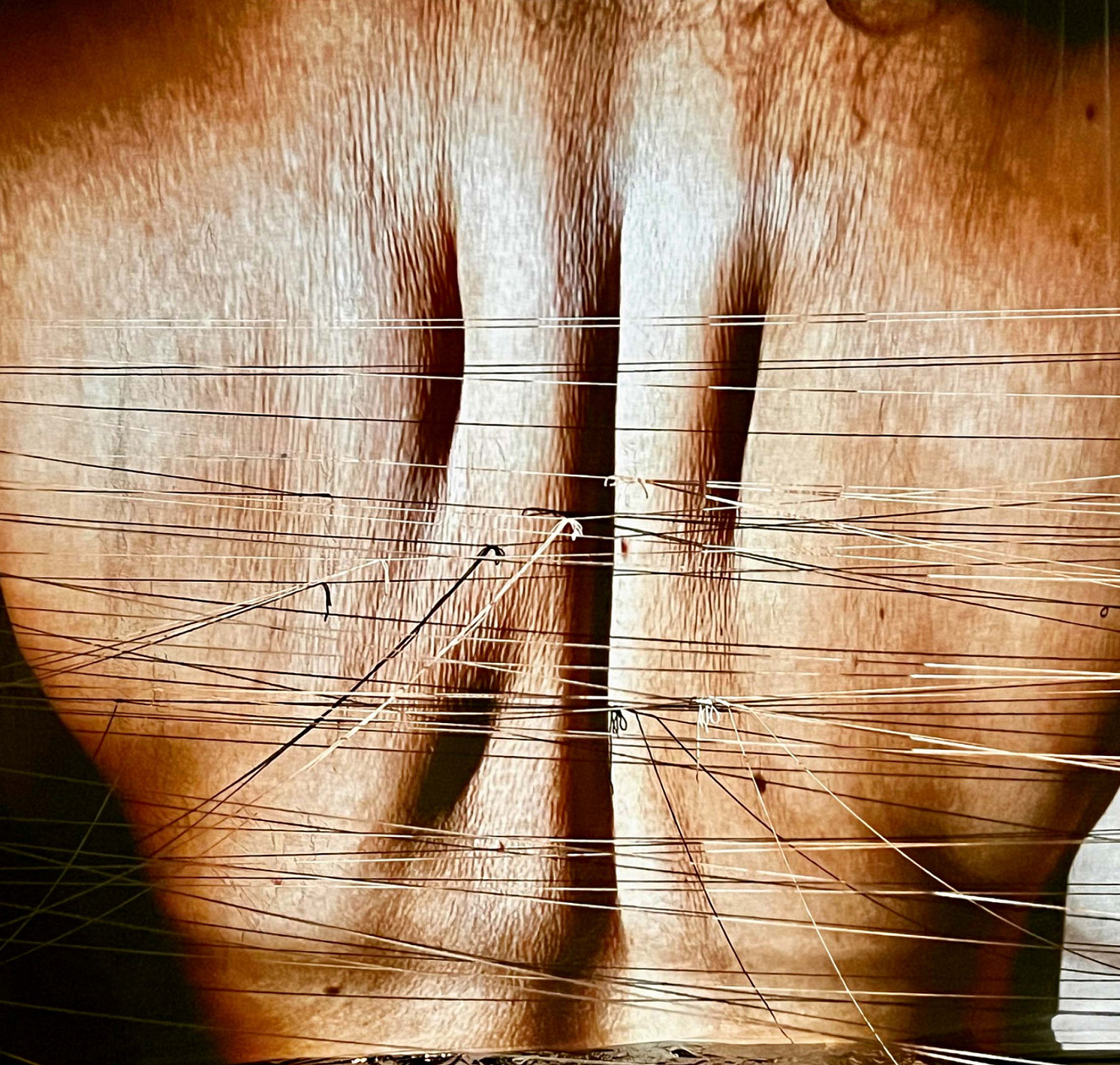 Insert Skin
Videostill
variabel, 2026,
Performance: Sahar Damoni